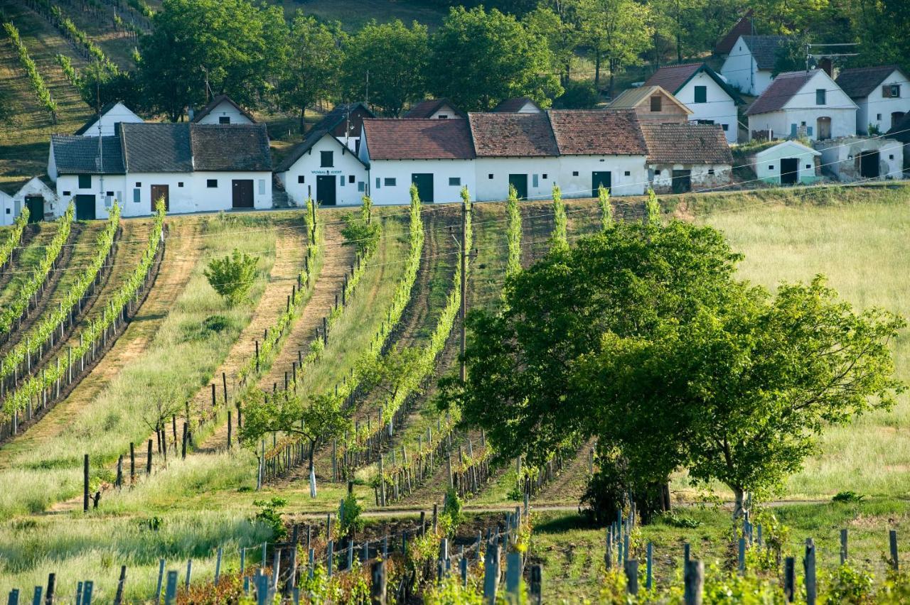 Weinhotel Rieder Poysdorf Εξωτερικό φωτογραφία